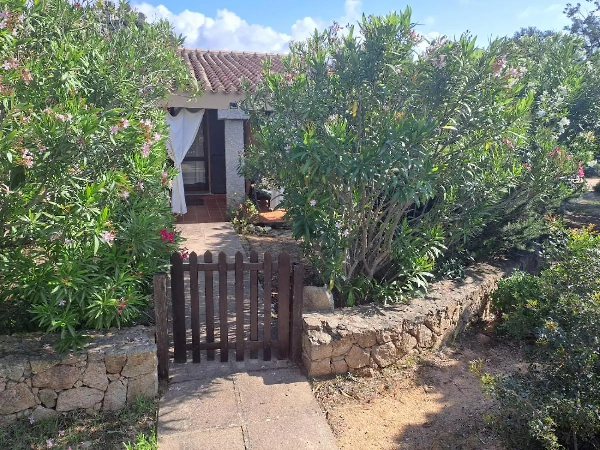 Villa Cesar 帕拉迪索海岸 0*,